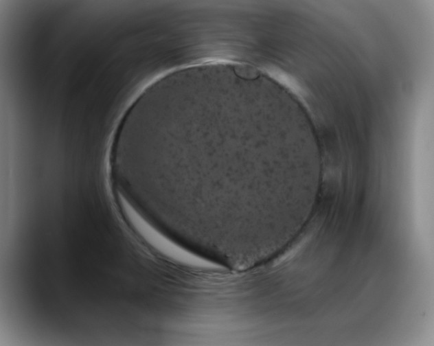 X0000090441423200707131211