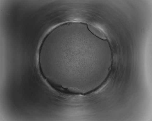 X0000090441424200707131211