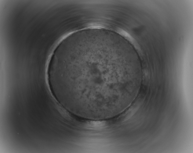 X0000090441427200707131211