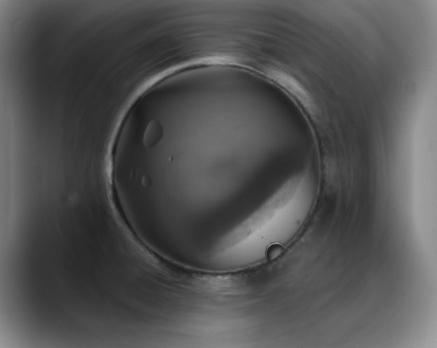 X0000090441428200707131211