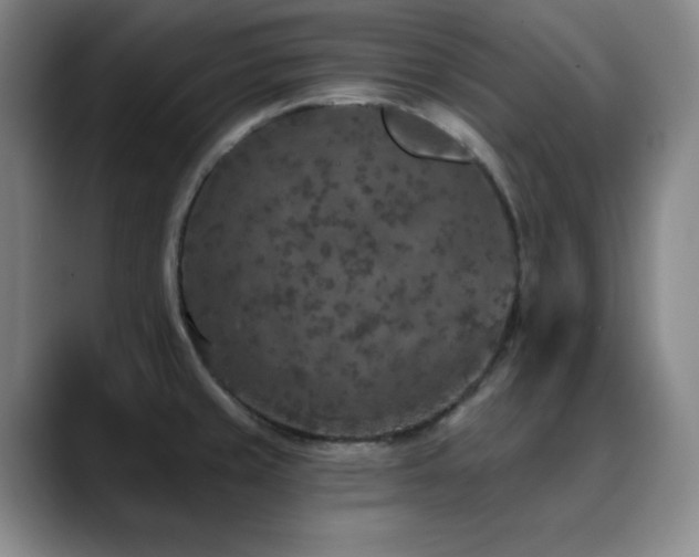X0000090441429200707131211