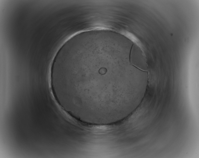 X0000090441431200707131211