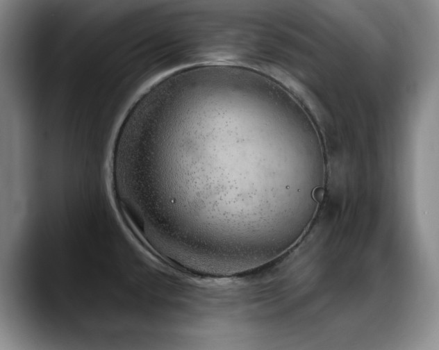 X0000090441432200707131211