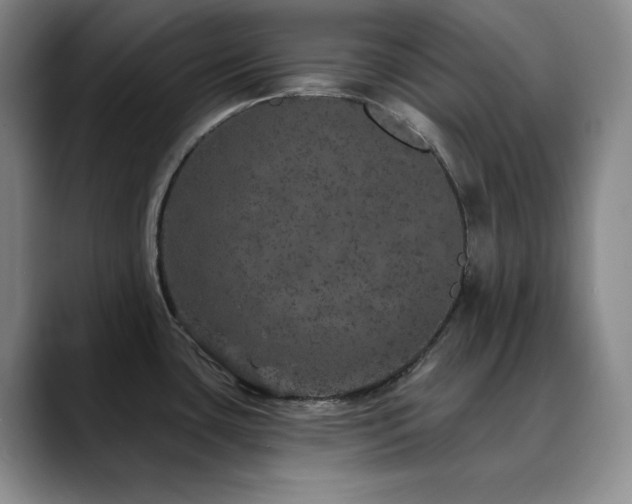 X0000090441435200707131211