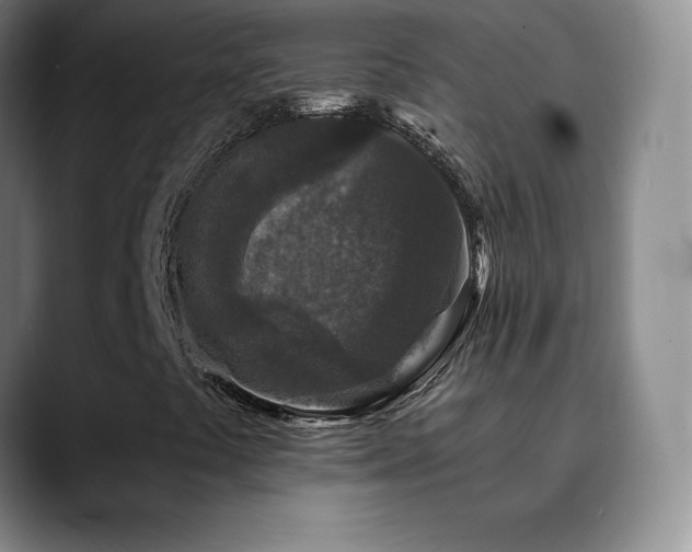 X0000090441441200707131211