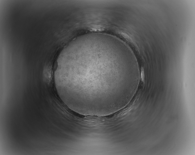 X0000090441444200707131211