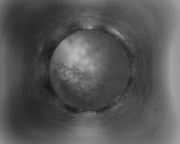 X0000090441446200707131211