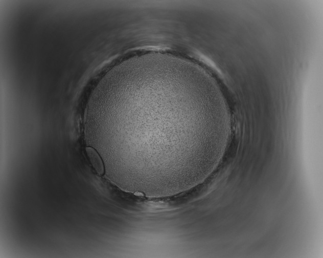 X0000090441448200707131211