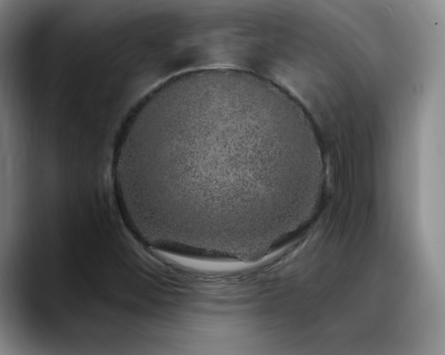X0000090441452200707131211