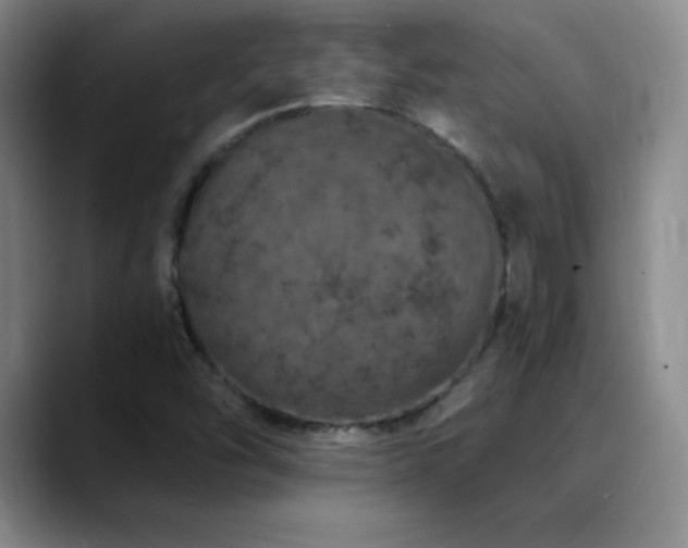 X0000090441454200707131211
