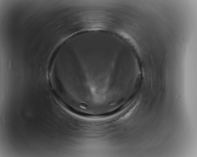 X0000090441457200707131211
