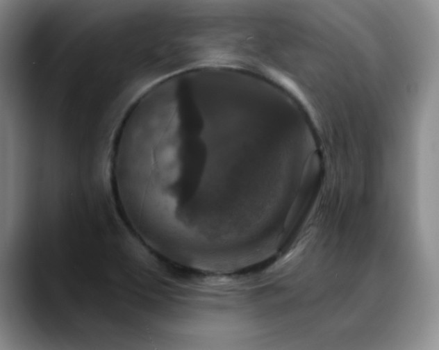 X0000090441463200707131211