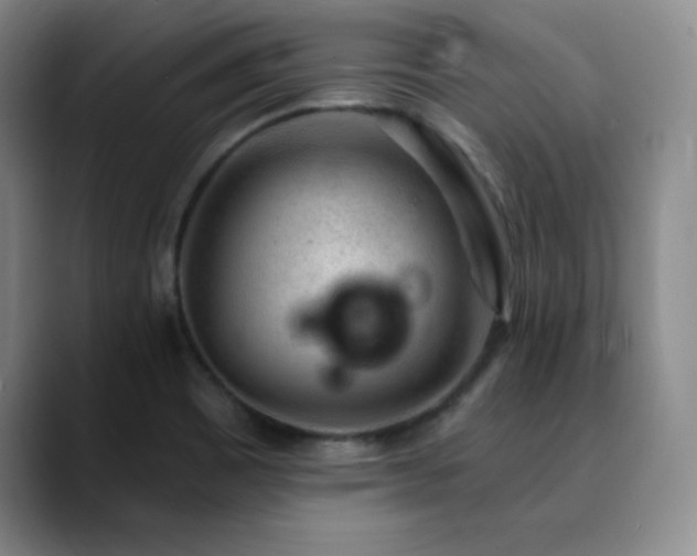 X0000090441465200707131210