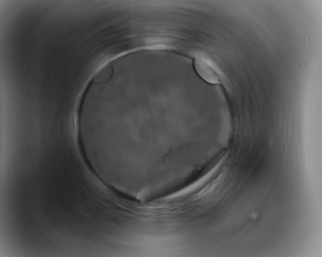 X0000090441467200707131210