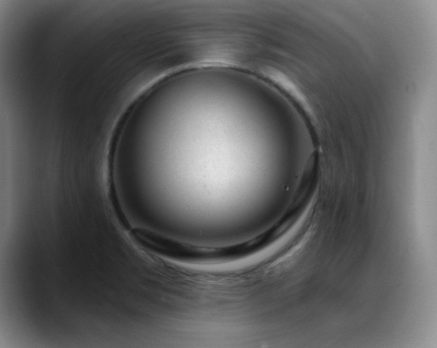 X0000090441469200707131210