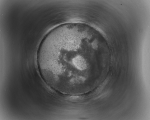 X0000090441470200707131210