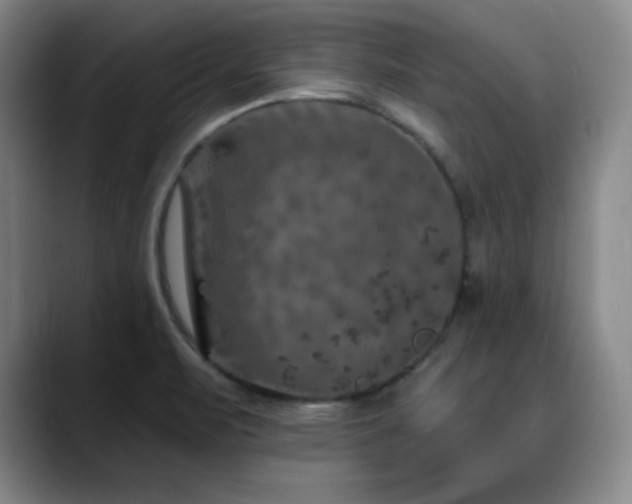 X0000090441471200707131210