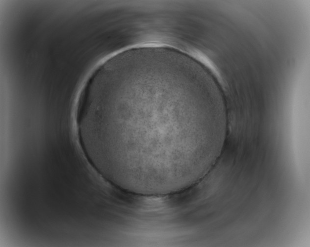 X0000090441472200707131210