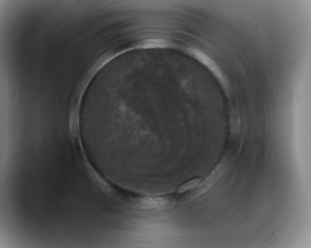 X0000090441473200707131210