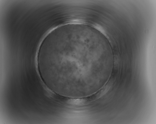 X0000090441474200707131210