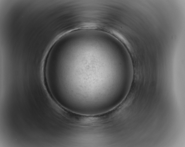 X0000090441475200707131210