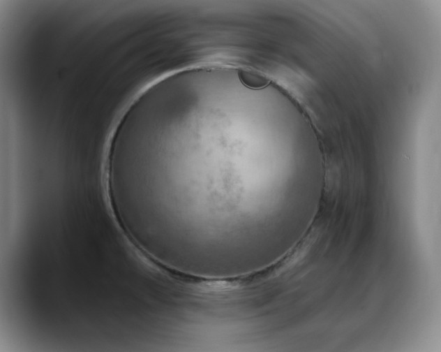 X0000090441478200707131210