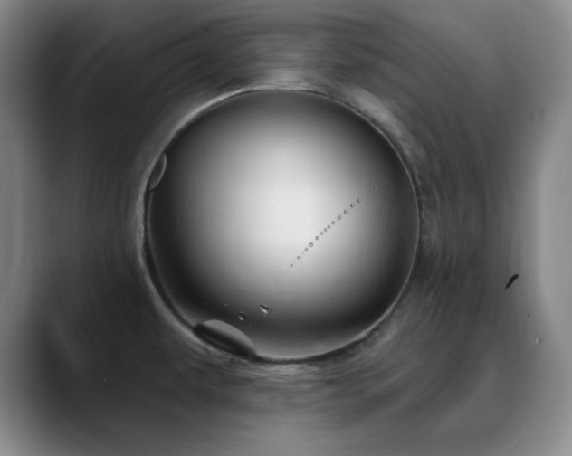 X0000090441479200707131210