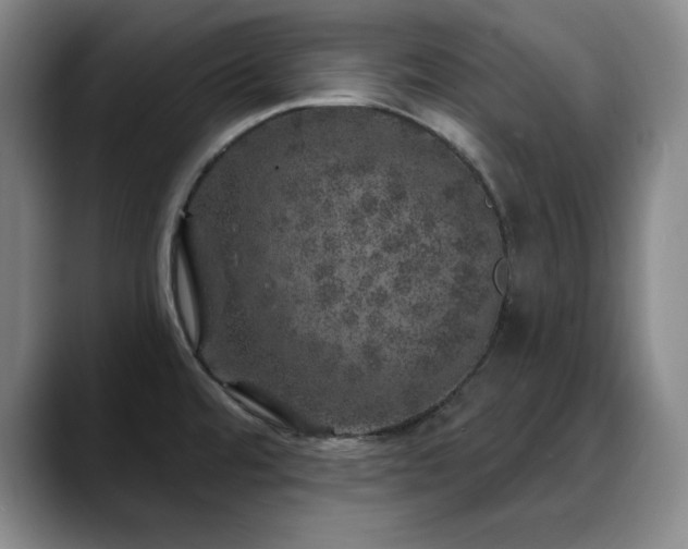 X0000090441480200707131210