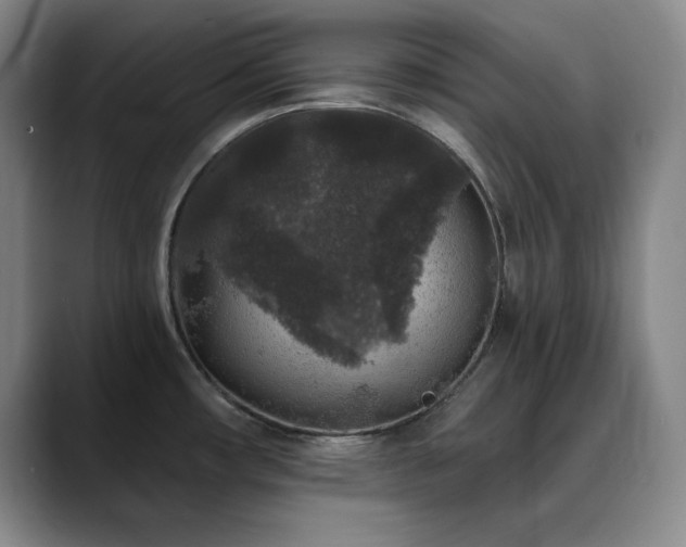 X0000090441482200707131210