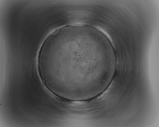 X0000090441483200707131210