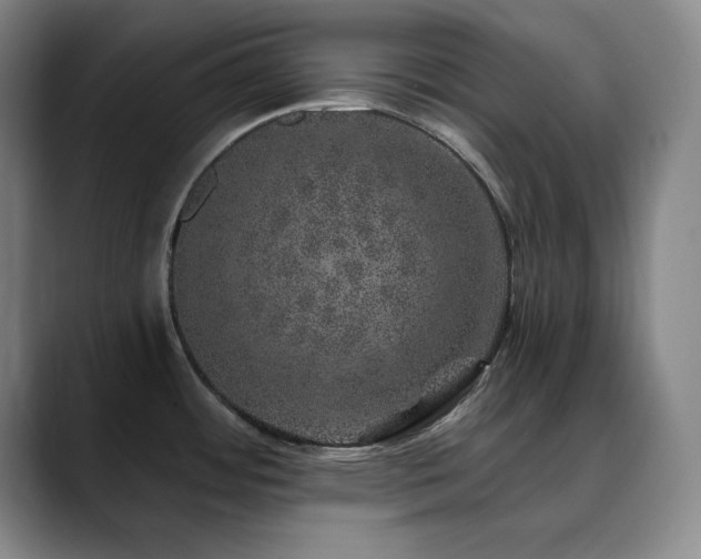 X0000090441484200707131210