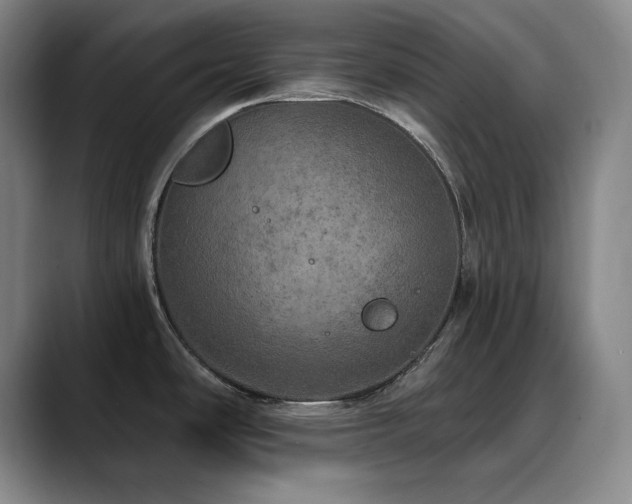 X0000090441486200707131210