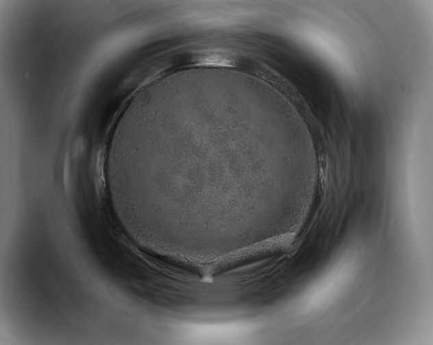 X0000090441487200707131210