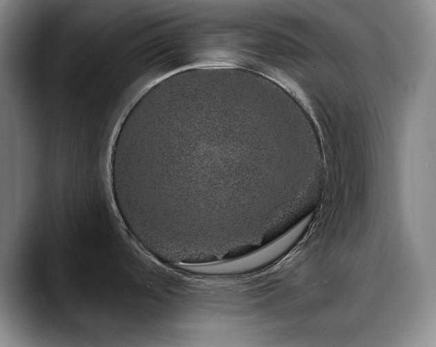 X0000090441488200707131210