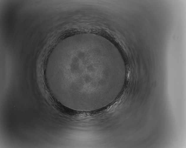 X0000090441489200707131210