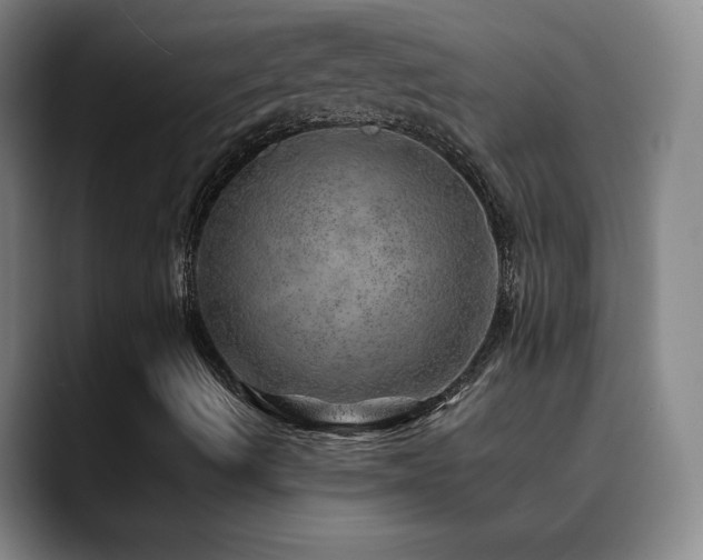 X0000090441490200707131210
