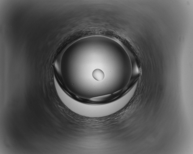 X0000090441492200707131210