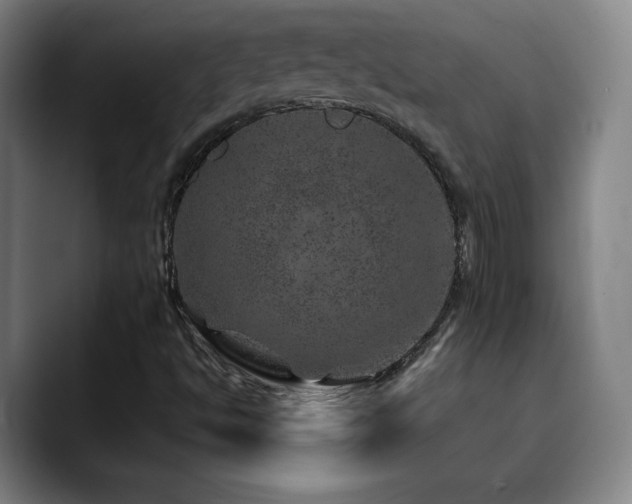 X0000090441494200707131210