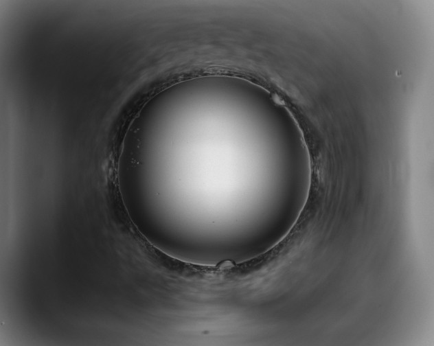 X0000090441495200707131210