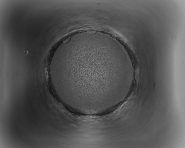X0000090441496200707131210