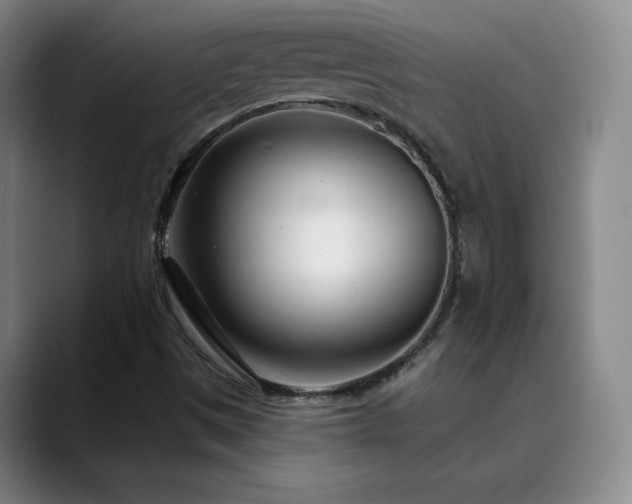 X0000090441497200707131210