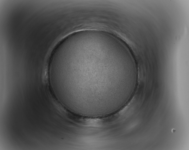 X0000090441498200707131210