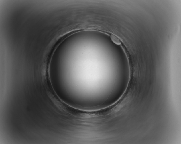 X0000090441499200707131210