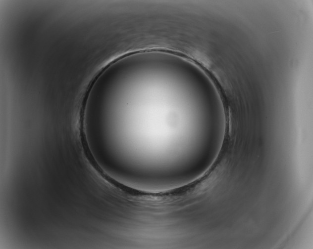 X0000090441500200707131210