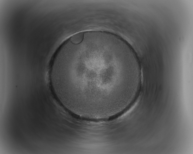 X0000090441501200707131210