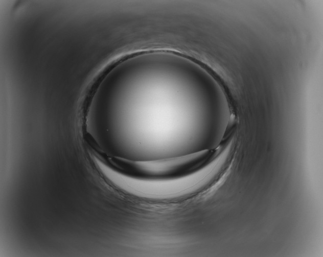 X0000090441502200707131210