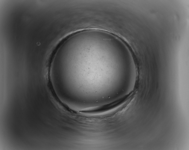 X0000090441503200707131210