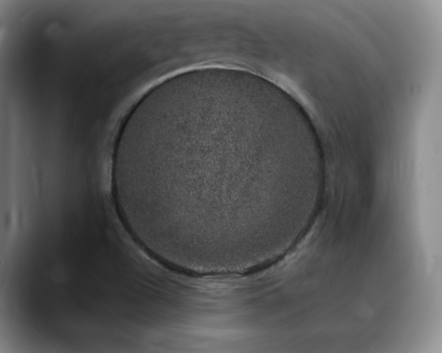X0000090441504200707131210