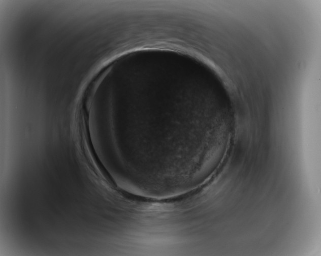 X0000090441506200707131210