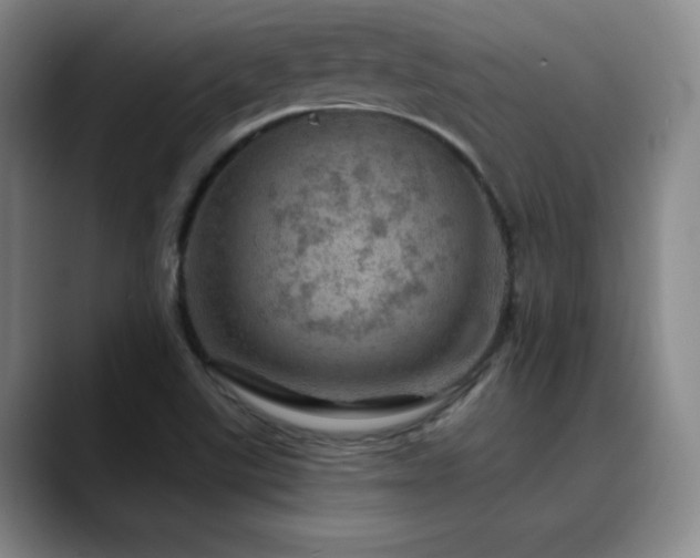 X0000090441507200707131210